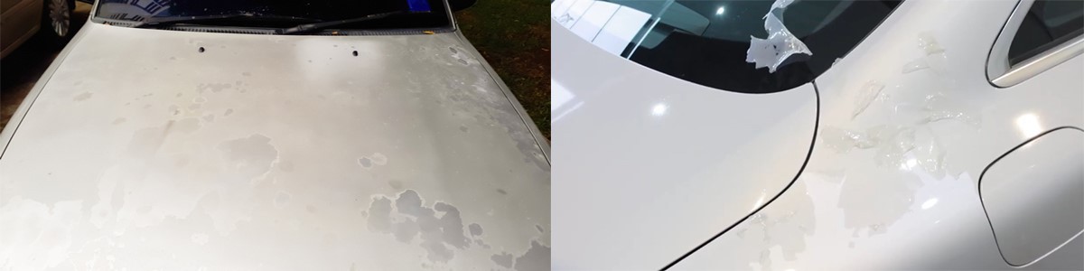 Signals For Replacing Paint Protection Film Signals For Replacing Paint Protection Film